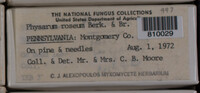 Image Associated With the Occurence